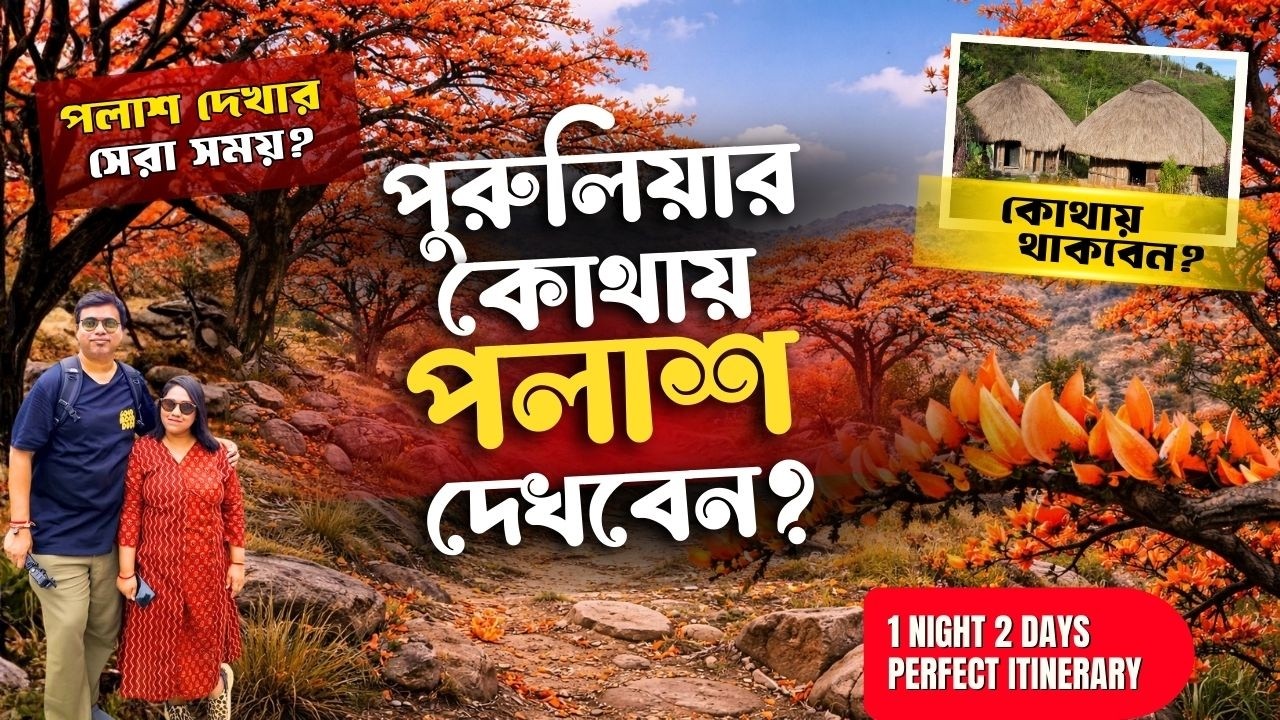 পুরুলিয়ার কোথায় পলাশ দেখবেন? Palash in Purulia | পলাশ দেখার সেরা সময়?