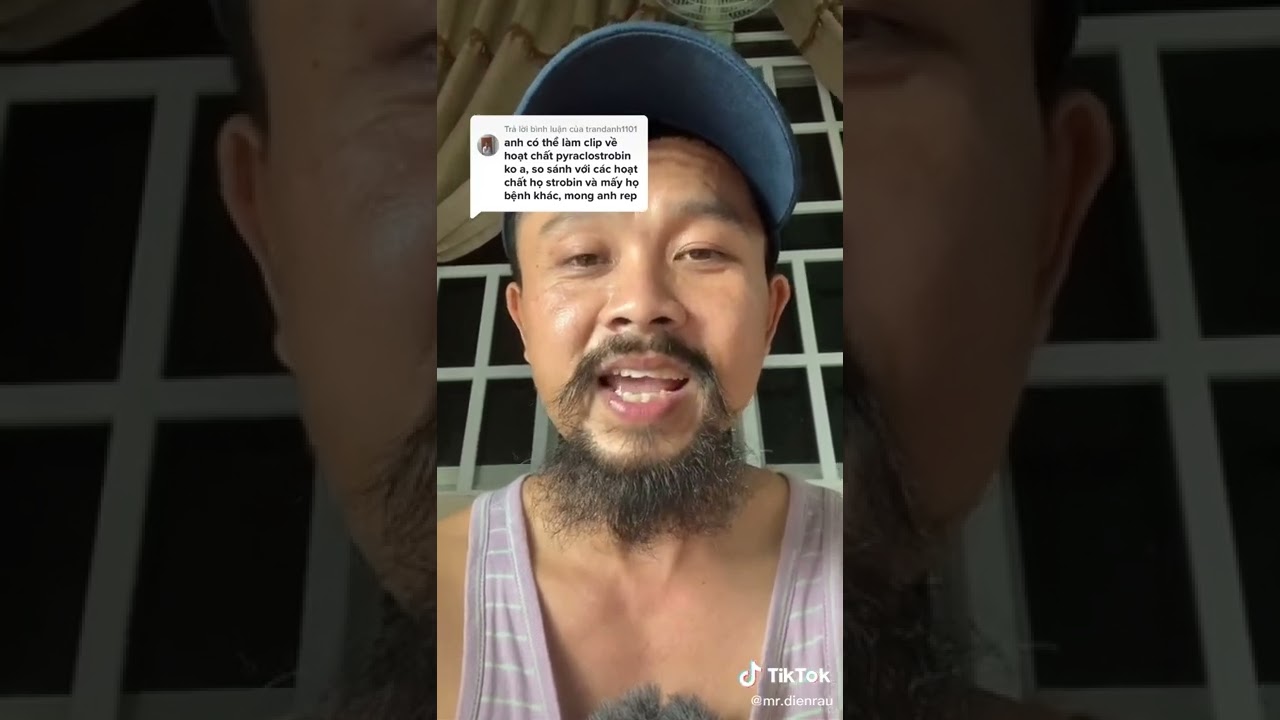 Hoạt Chất Pyraclostrobin Có Tác dụng gì anh Điền Râu- Ngăn Ngừa Đạo Ôn, Thán Thư