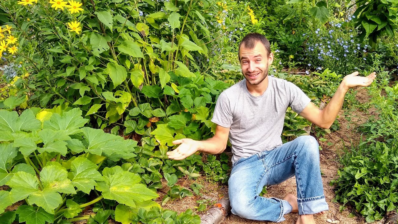 Pros & Cons of Deep Mulch Gardening