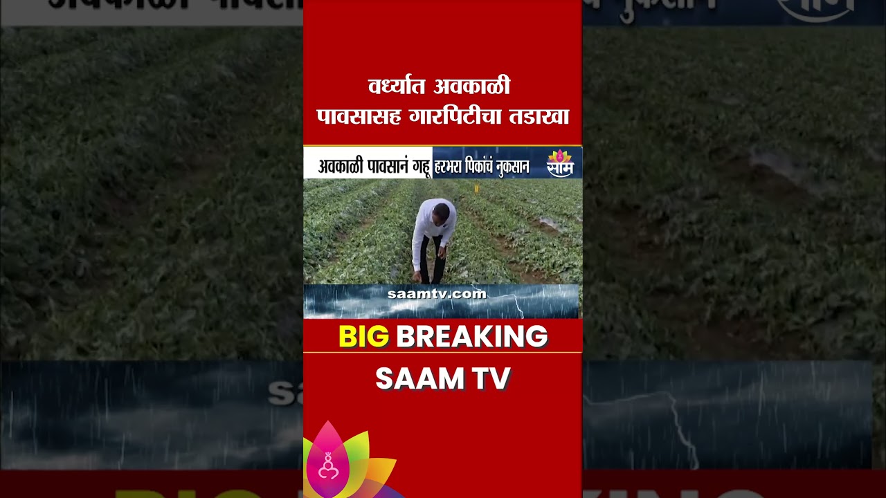 वर्ध्यात पीकांचं नुकसान, शेतकरी हवालदिल | Wardha | Unseasonal Rain | Crop Loss