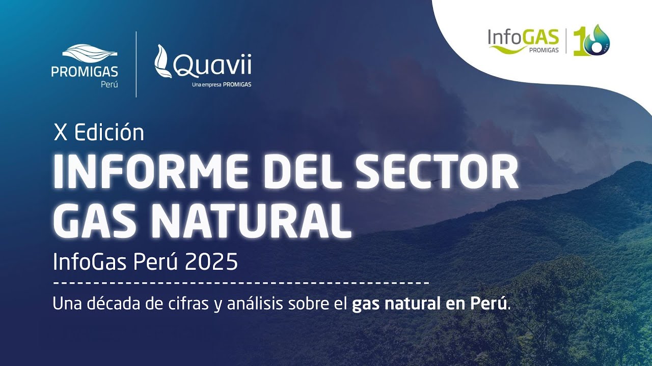 Presentación X edición del sector Gas Natural