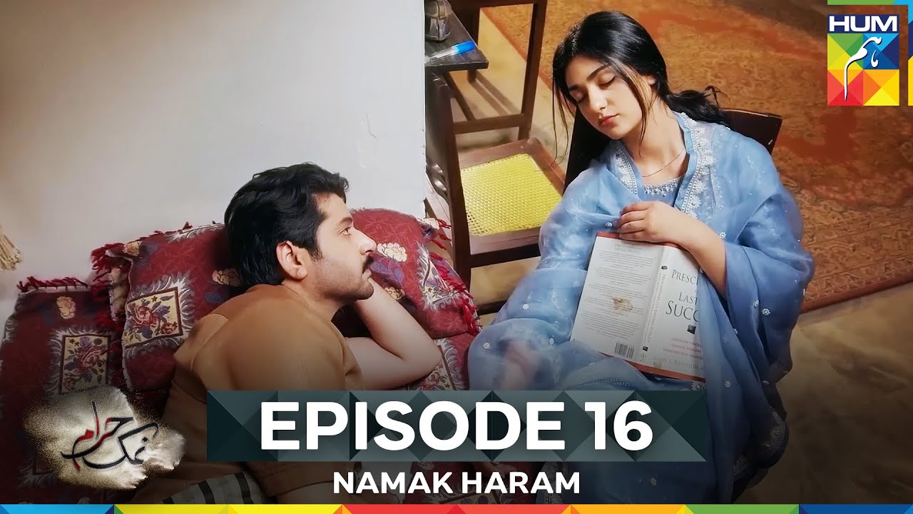 Namak Haram Episode 16