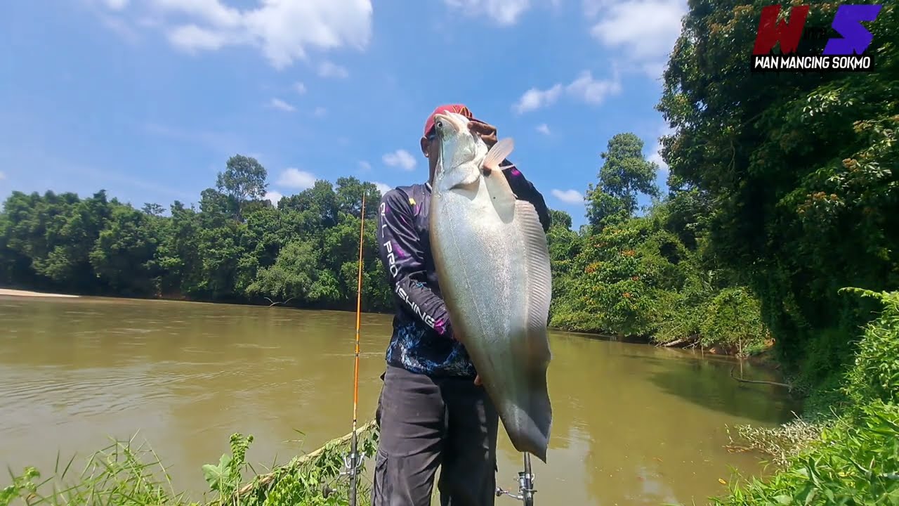 Mancing di Spot baru hasil puas hati | ulu jelai kuala lipis pahang #wms-381