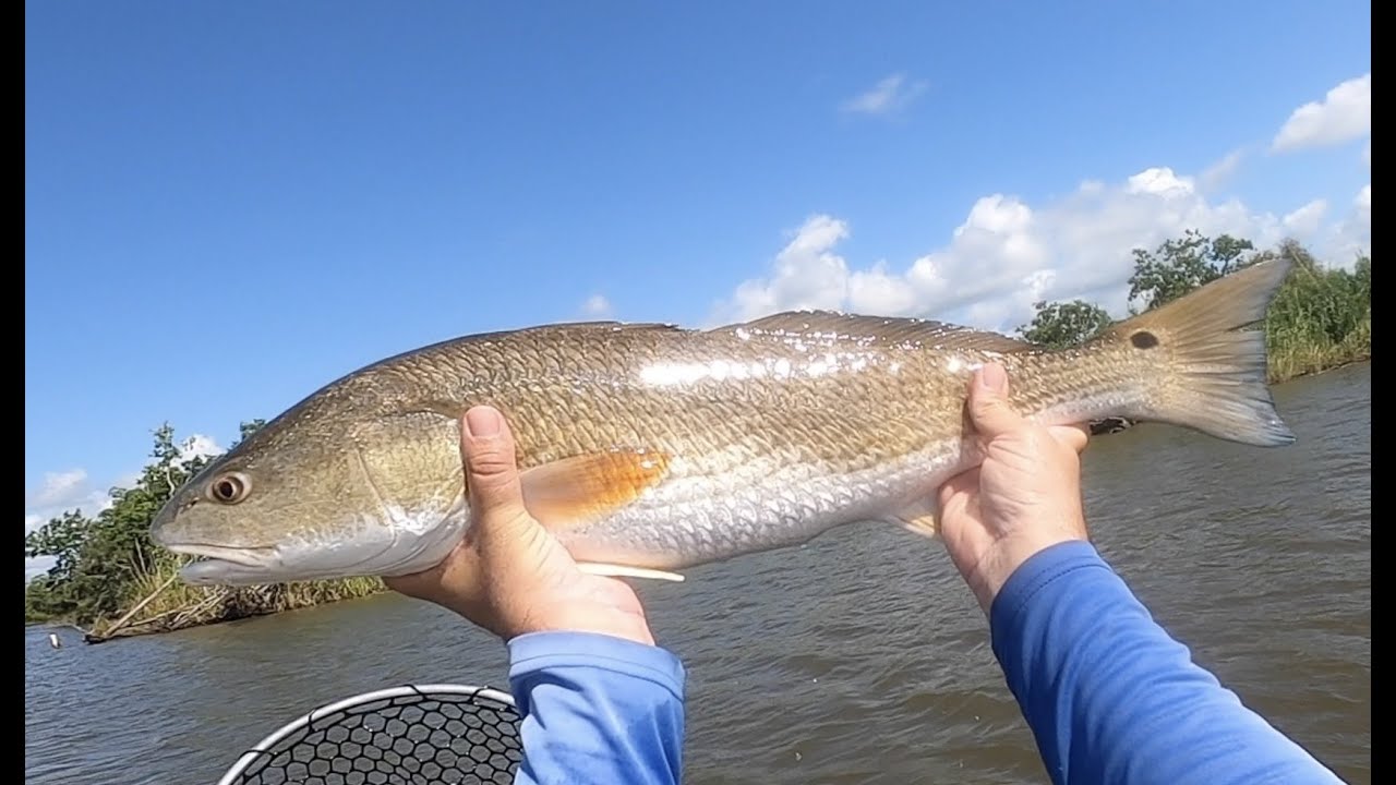 Cypremort Point, Weeks Bayou, Kayak Fishing
