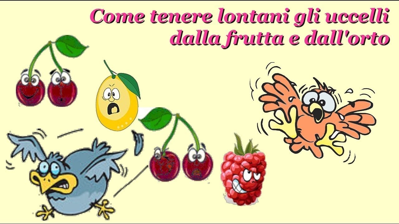 COME TENERE LONTANI GLI UCCELLI DAGLI ALBERI DA FRUTTO E L'ORTO