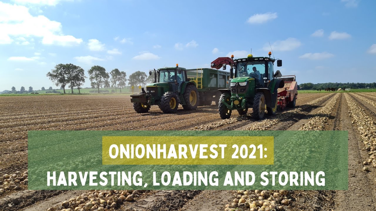 Harvesting, loading and storing onions- onionharvest/ uienoogst 2021