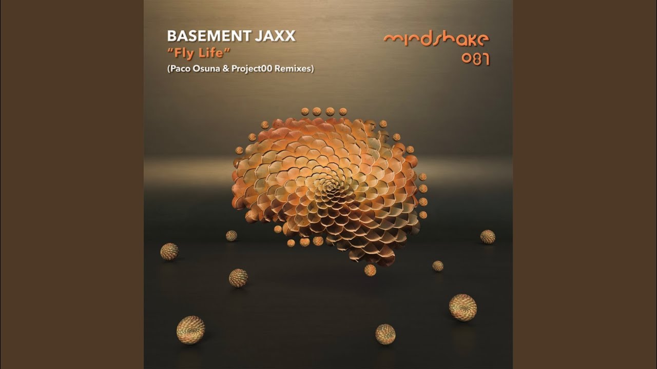Fly Life (Paco Osuna Remix)