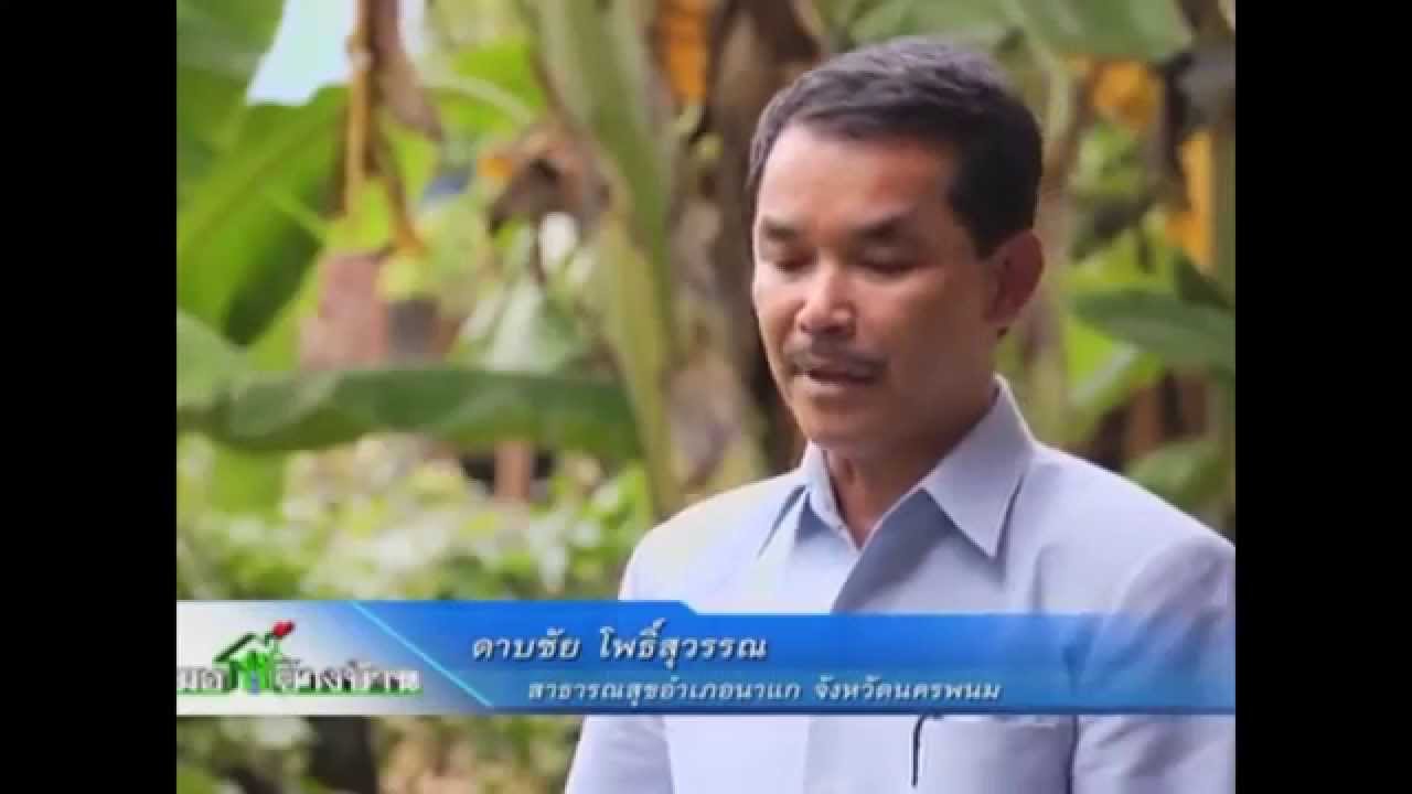 วีดีทัศน์นำเสนอสำนักงานสาธารณสุขอำเภอดีเด่น ปี2558 จังหวัดนครพนม