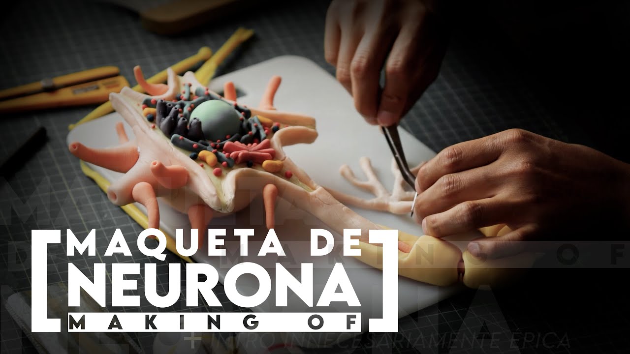 Como hacer una MAQUETA DE NEURONA de PORCELANA FRIA | NEURON MODEL TUTORIAL using cold porcelain