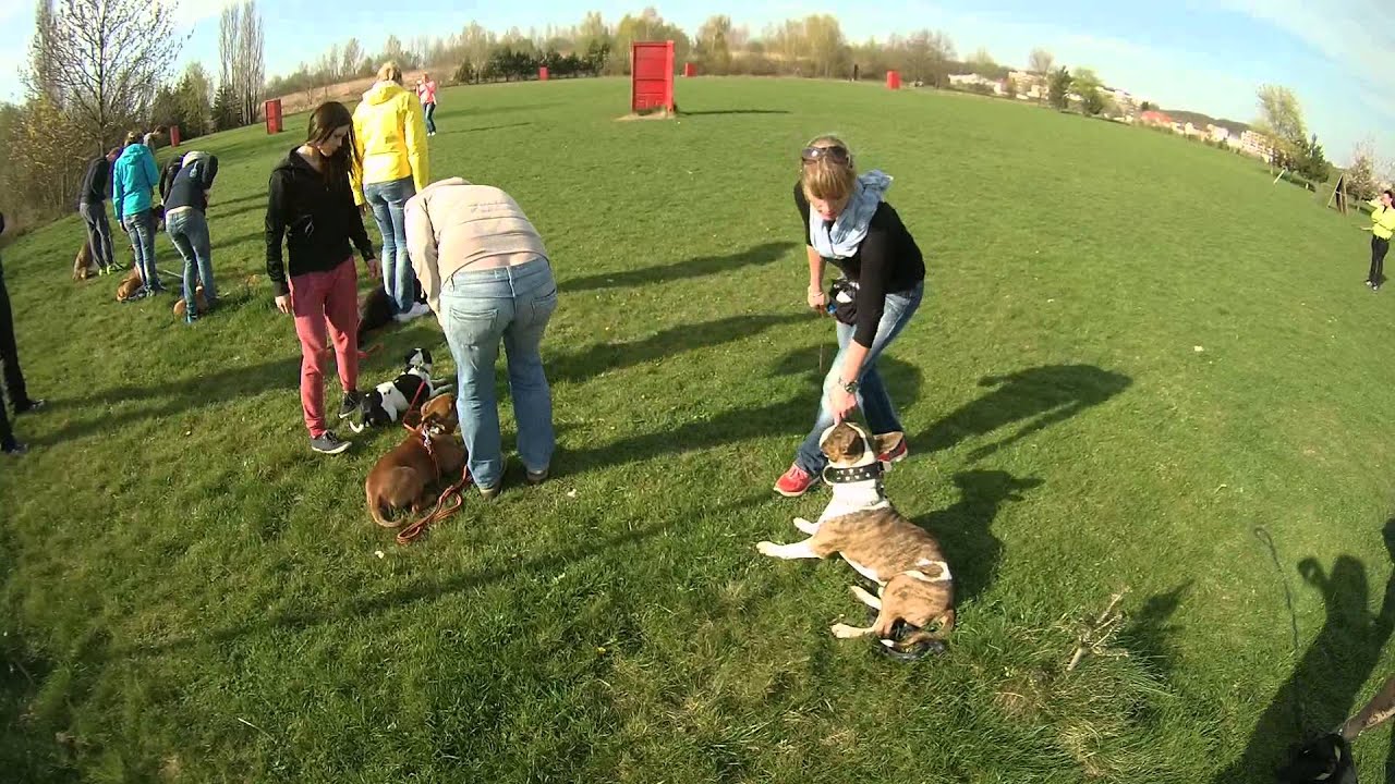 Rychety 05