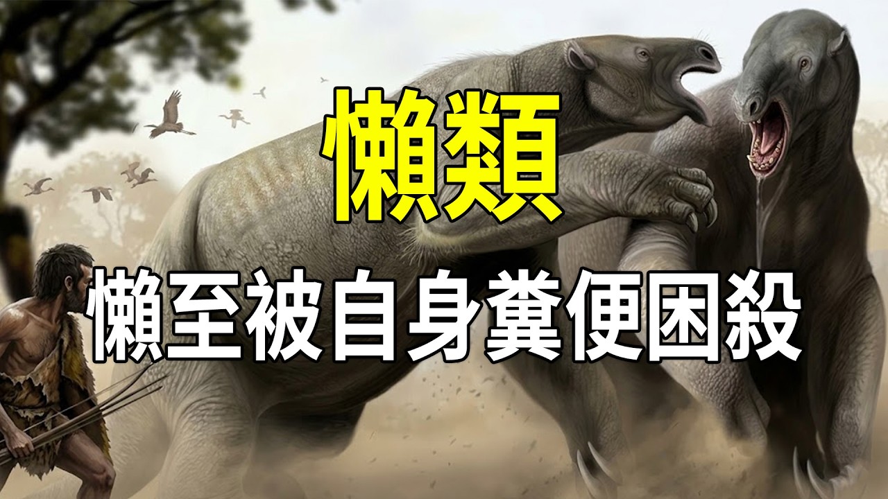 顛覆三觀！樹懶祖先竟是史前巨獸？體型比肩大象、撕咬生肉，還能下海稱霸    #樹懶 #史前巨獸 #古生物 #演化史 #動物冷知識 #科普