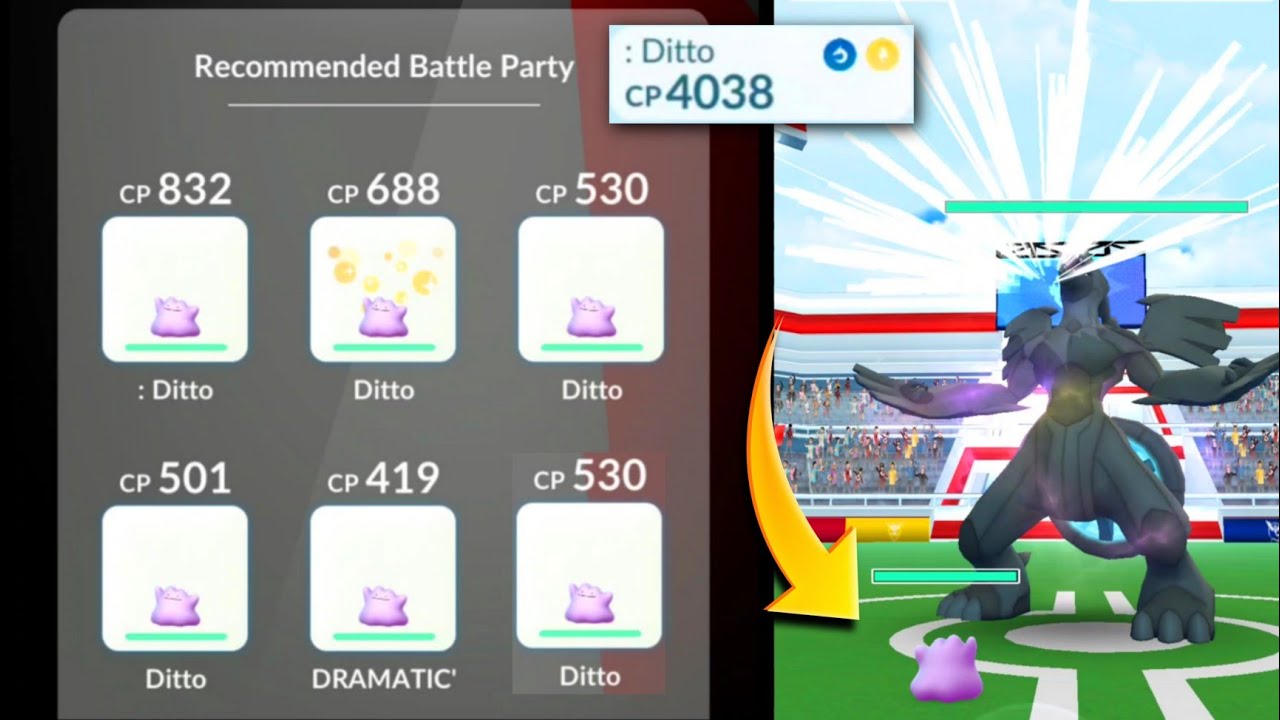 100% iv Ditto v/s Zekrom in raids | only ditto against Zekrom in pokemon go.