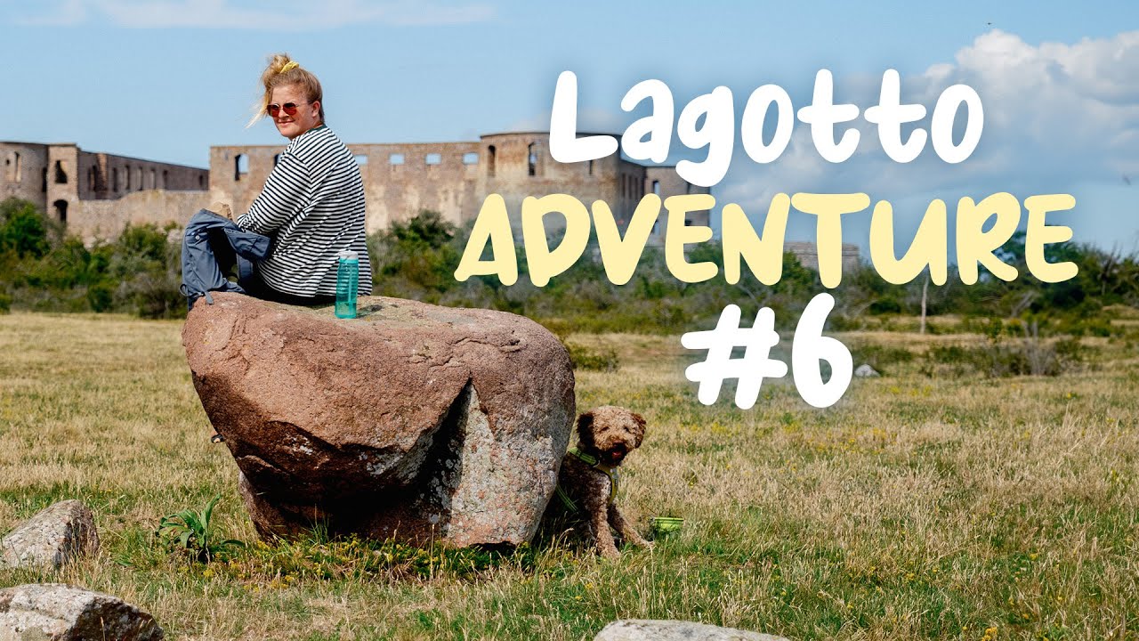 Lagotto Adventure #6 | From Halmstad to Öland, July 22-25 2023