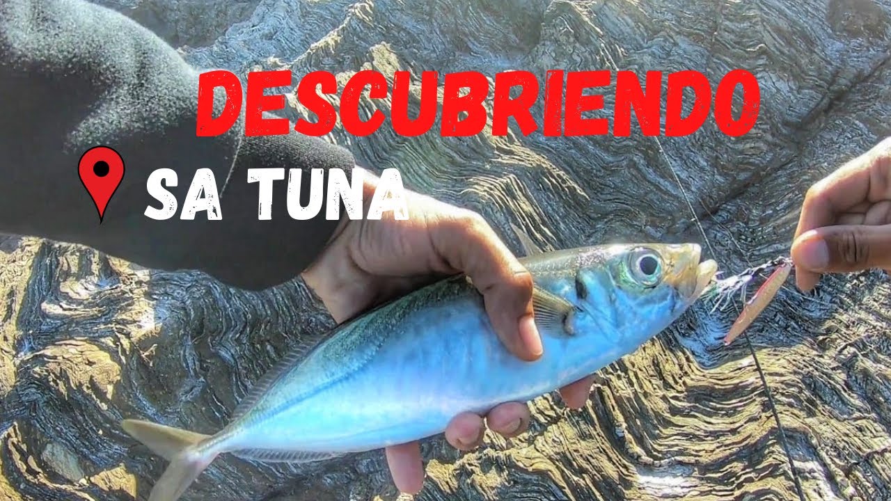 EGING y SPINNING en Sa Tuna || COSTA BRAVA || Travel Vlog 2