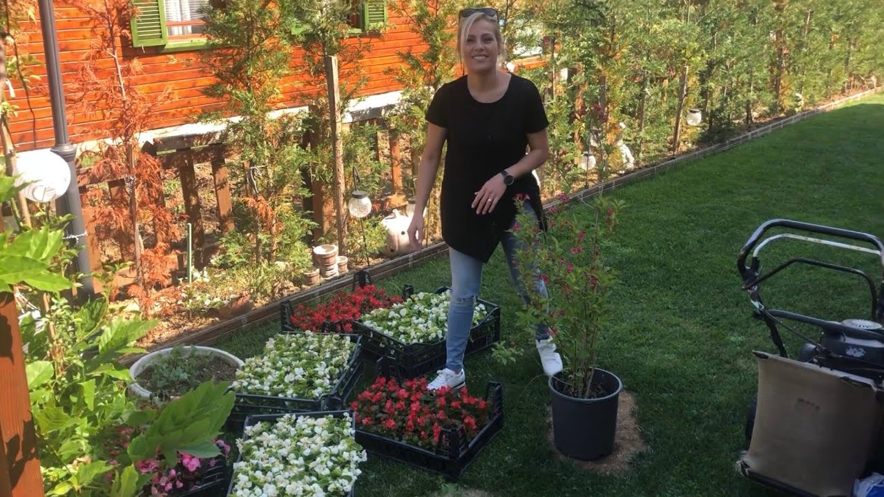 Çiçeklerle bahçemi donattım 🤩  8 kasa çiçeği tek başıma ektim 😎 Çiçek/bahçe bakımı nasıl yapılır ?