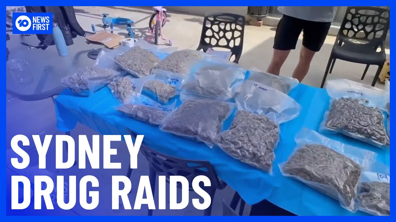 NSW Police Arrest 39 People In Giant Cannabis Raids Across The State | 10 News First
