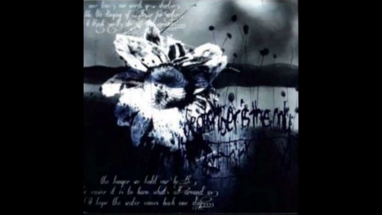 Septemberistheonlytimeidontthinkofyou- Hopefully Alone