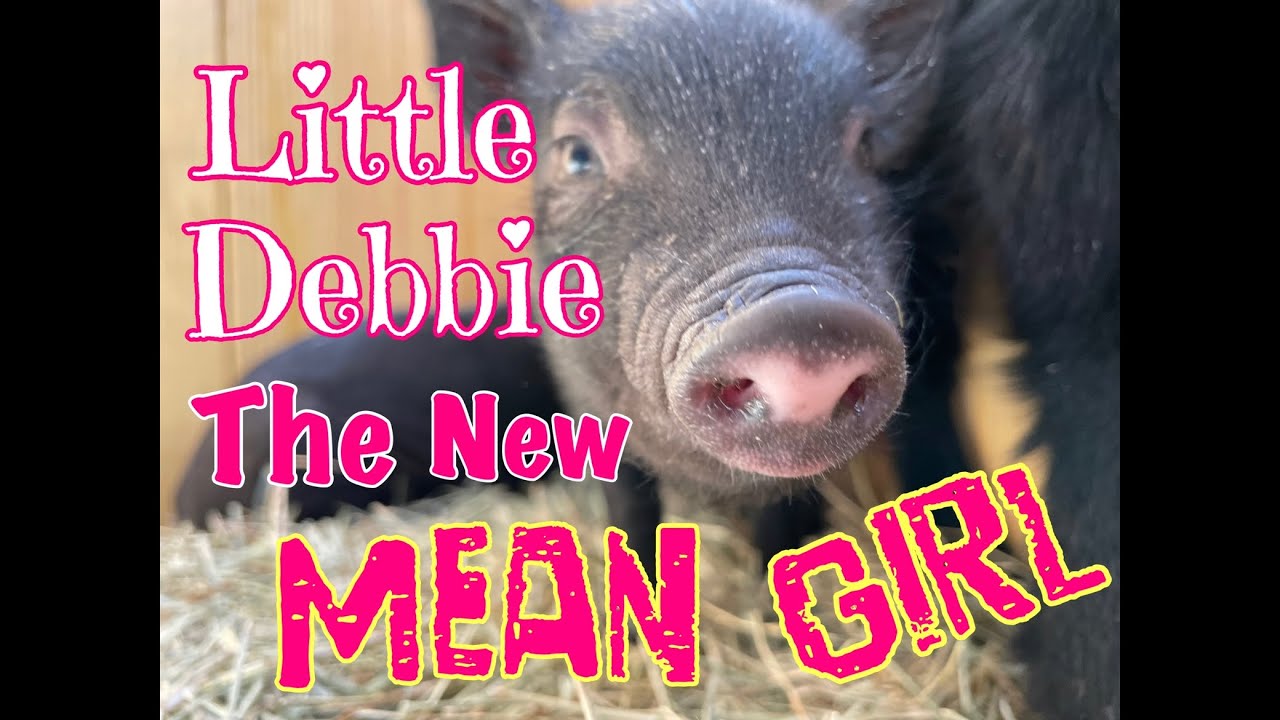 Little Debbie: The New Mean Girl