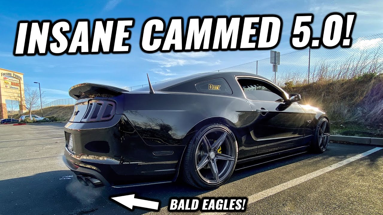 ROWDY Ghost Cam на моём Mustang GT 5.0! Тюнинг для гонок в Диком Лунде!