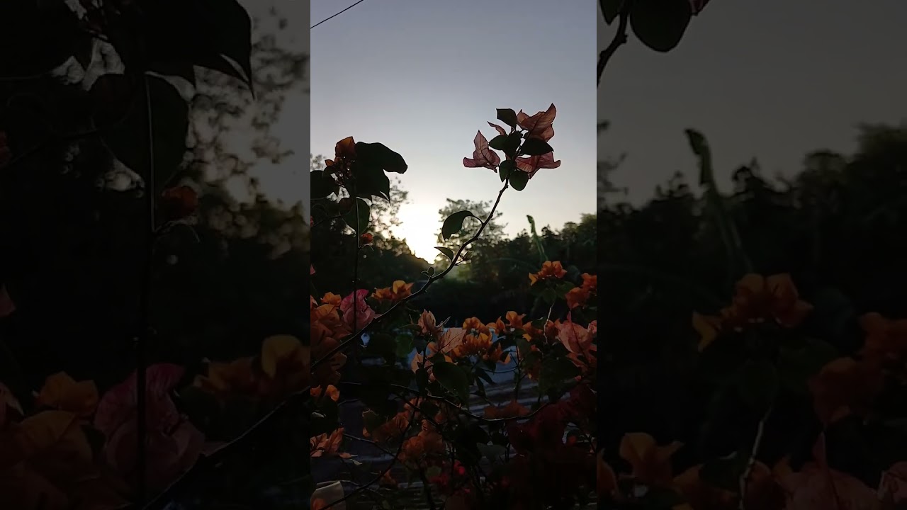 SUMIKAT NA ANG ARAW