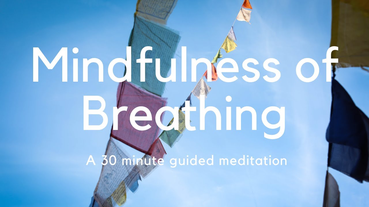 Mindfulness of Breathing - A guided meditation | Danayutta