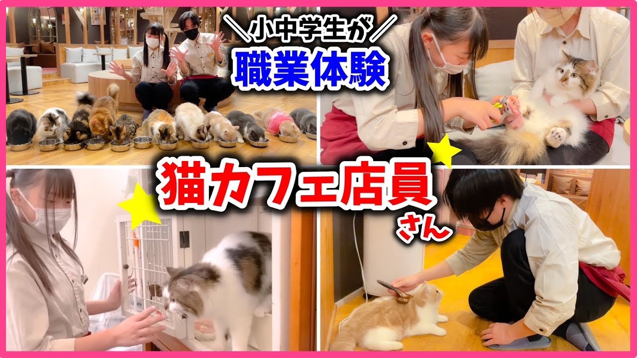 【職業体験】小中学生が