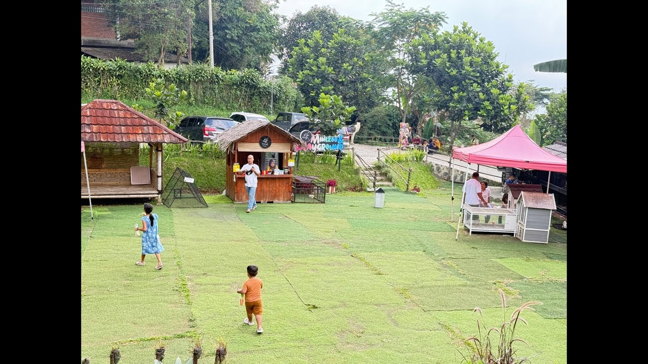 Kopi Koneng Sentul ❗️ Live