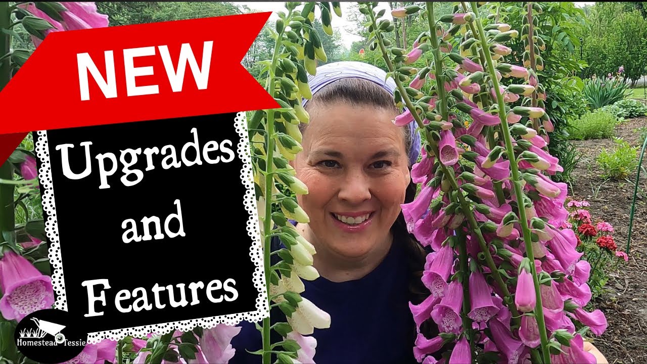*exciting New Upgrades!* Explore The Nighttime 1963 Mobile Home Property Features