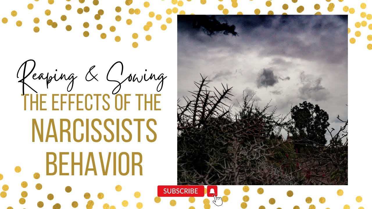 The Effects of The Narcissist’s Behavior: They Reap What They Sow