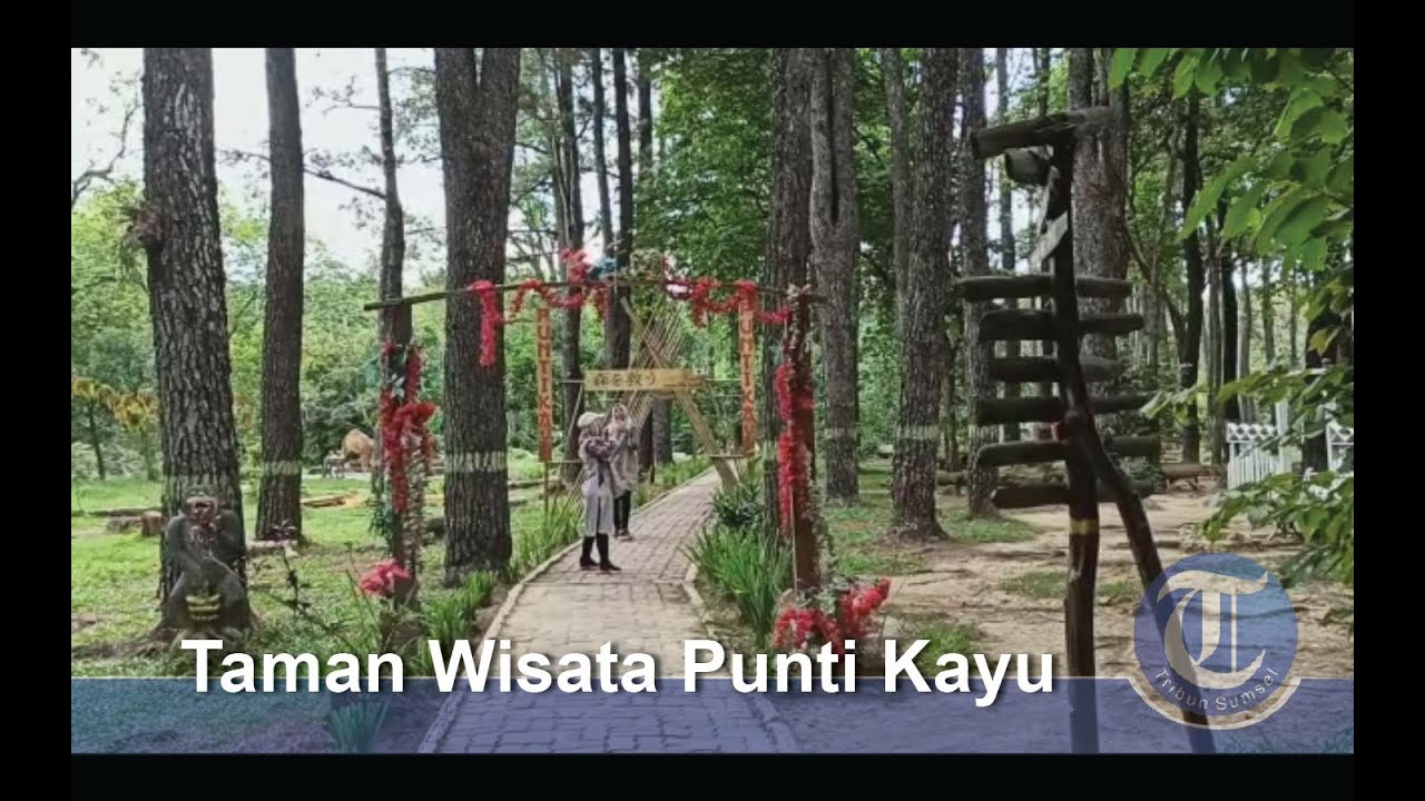 Taman Wisata Alam Punti Kayu Palembang Dengan Pesona Pohon Pinusnya