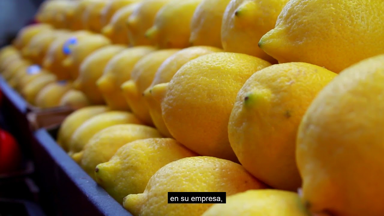 Bionatural Solution - Historia de éxito en patentes