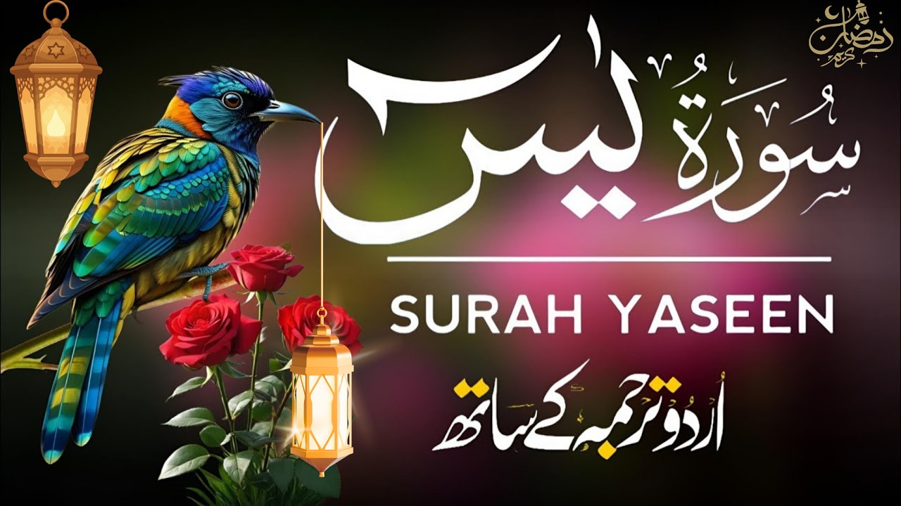 Surah Yaseen | Surah Yaseen With Urdu Translation | Al Furqan Studio | Ep120