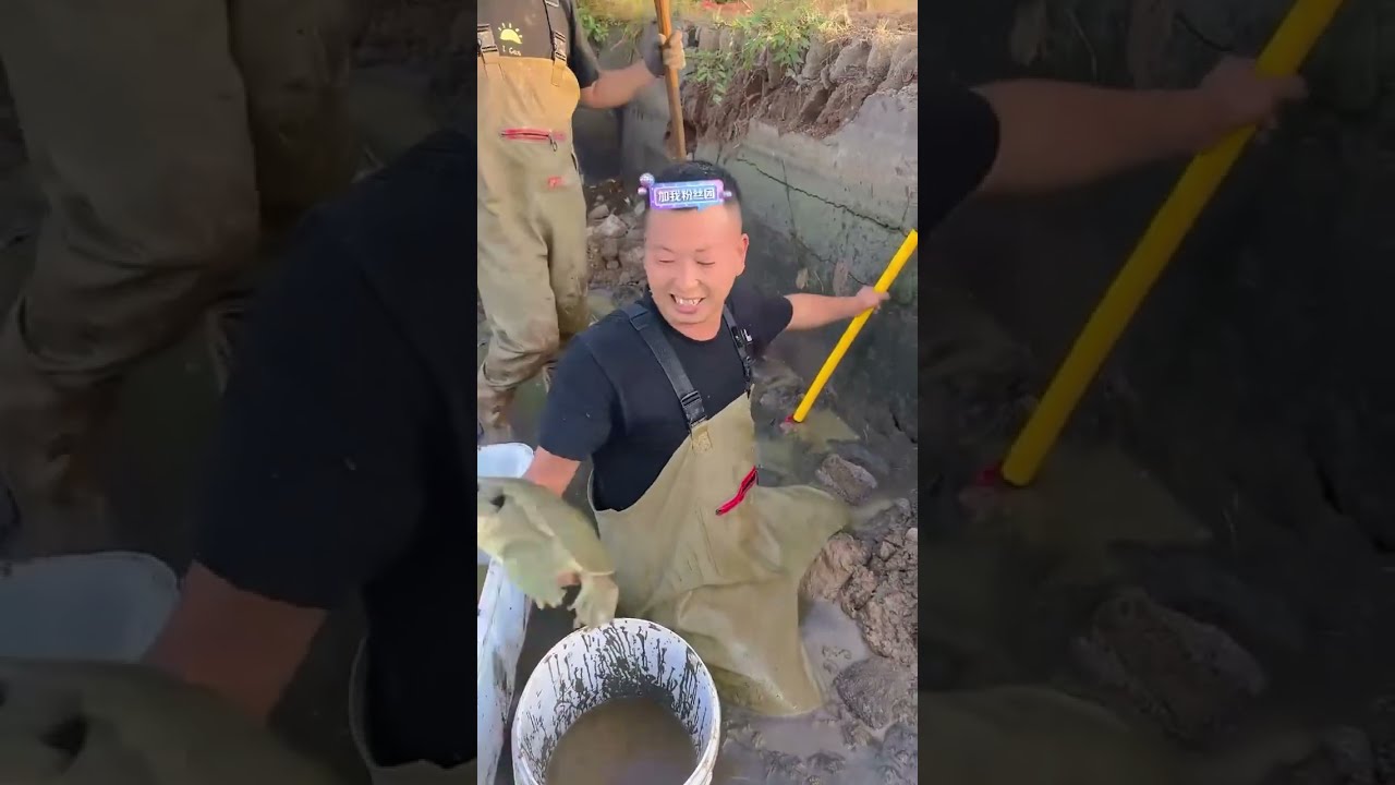 塘主开价1000块为了可以敲墙我们直接给他2000，到底这个荒唐里面这么值钱吗？ 【在养殖场安全，请大家不要模仿】
