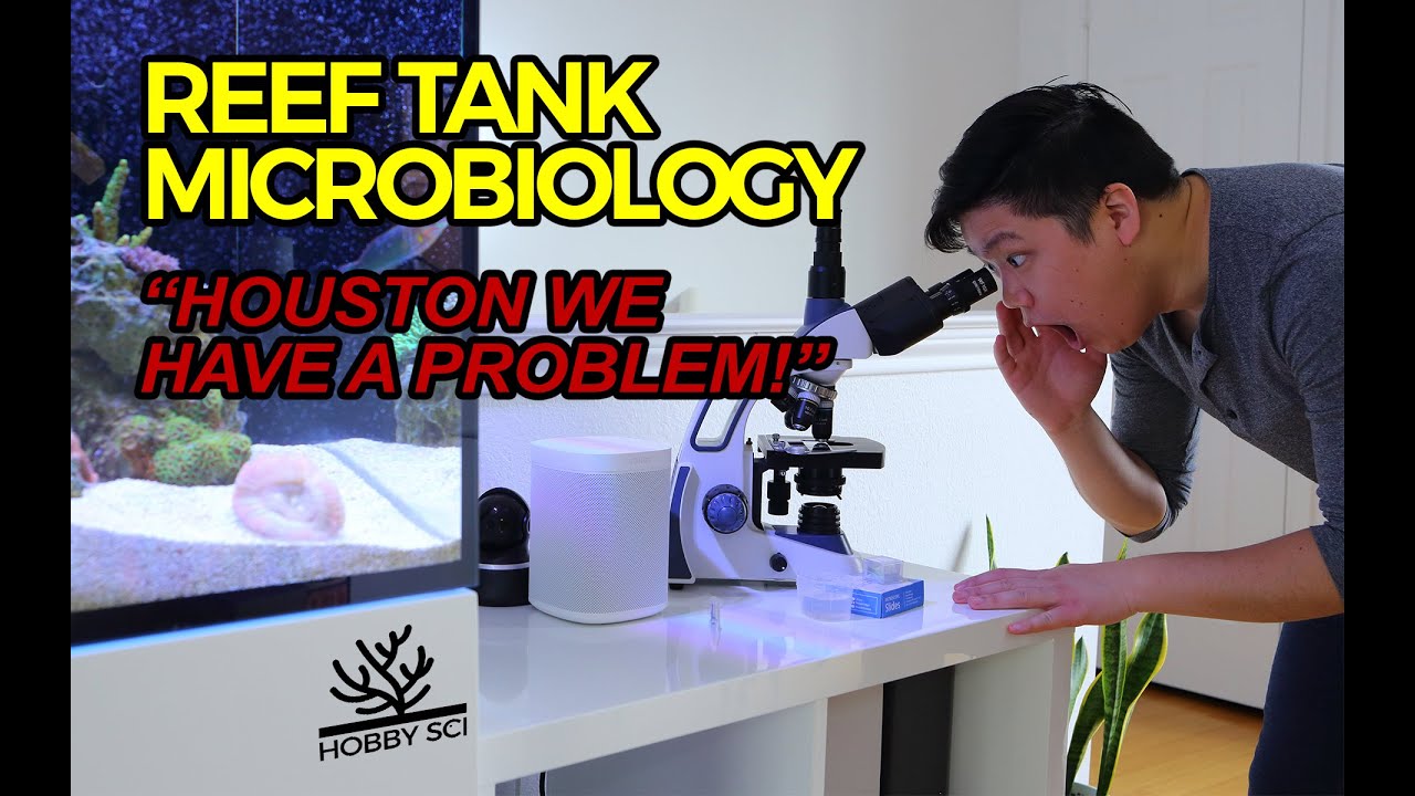 Reef Tank Microbiology - Episode 1- What's Hiding in Our Aquariums...