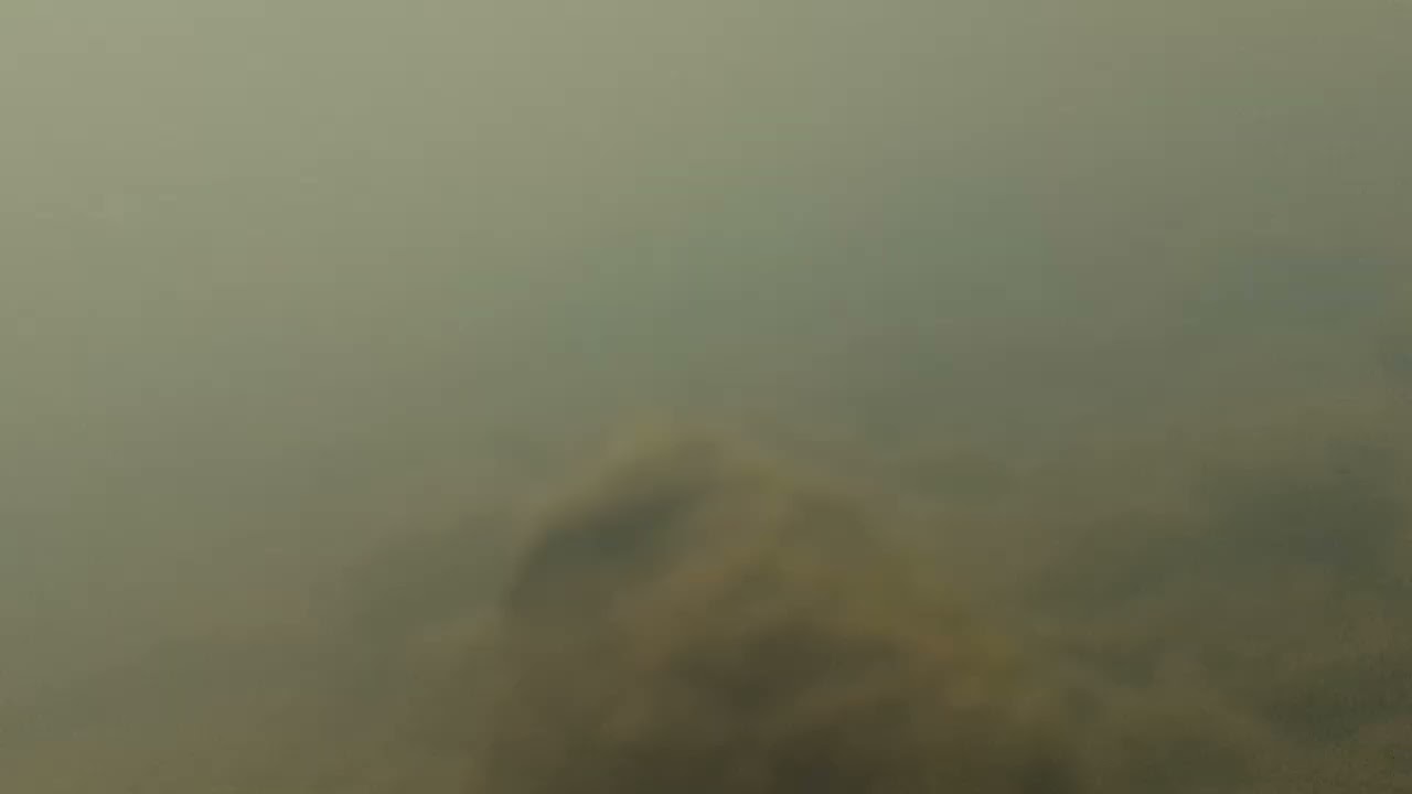 PIXEL 6 pro || water test ||