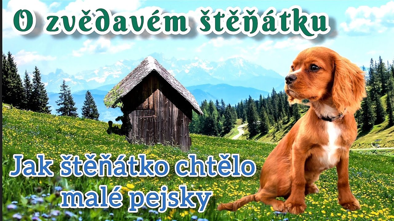 O zvědavém štěňátku - 4/4 Jak štěňátko chtělo malé pejsky.