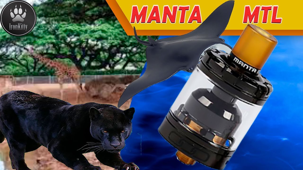 ADVKEN Manta MTL RTA /  ТОП СИГАРЕТНИК??? Особенности