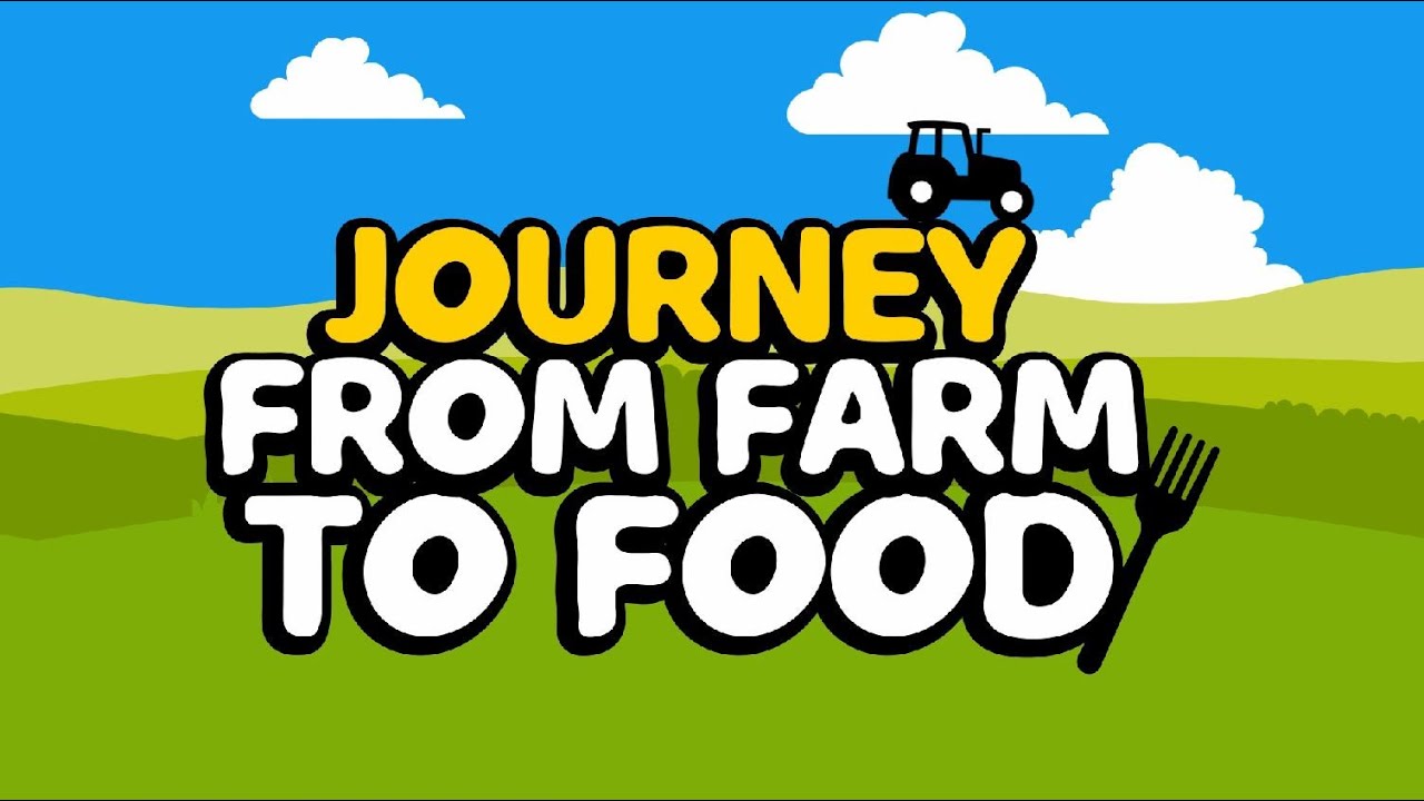The Journey from Farm to Food: 8-11 years (English)