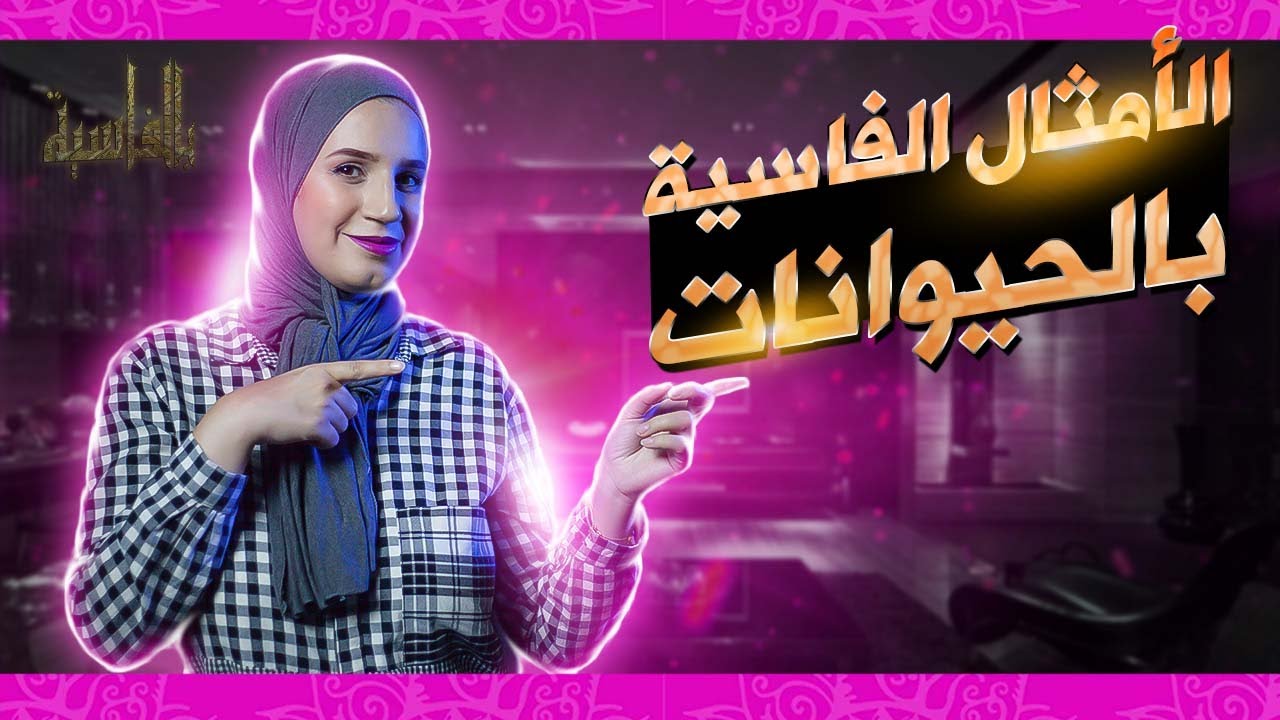 بالفاسية #13 / أمثال شعبية د هل فاس بالحيوانات - ضرب القطة تخاف العروسة - full HD