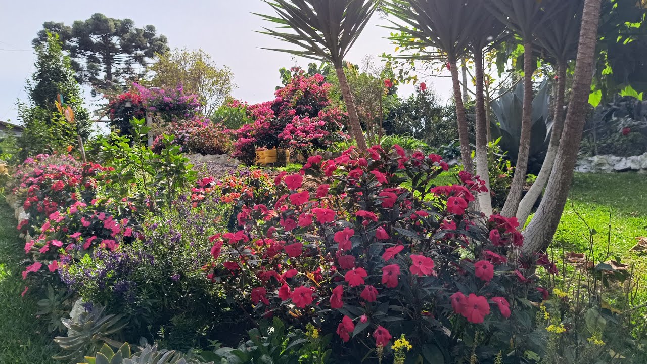 Meu jardim se transformou em um sonho realizado,com muitas flores!