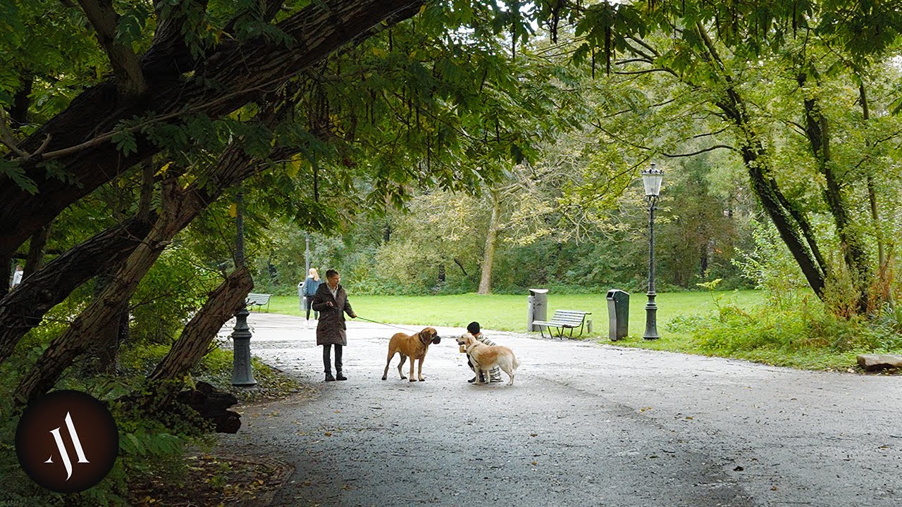 Relaxing Walk in East Amsterdam, 4K Binaural