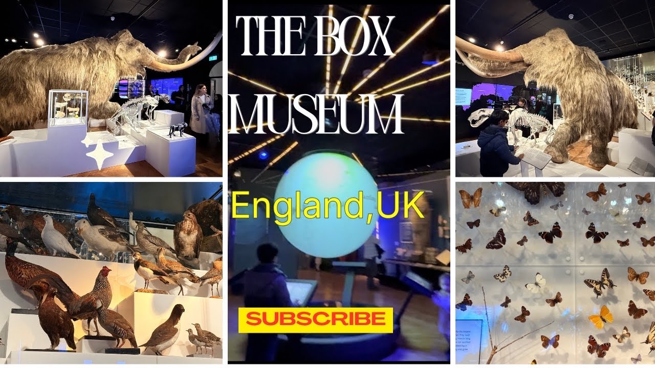 A visit to the City Museum | across the University | Mamoth #KaviLush #Sinhalavlog #England, UK