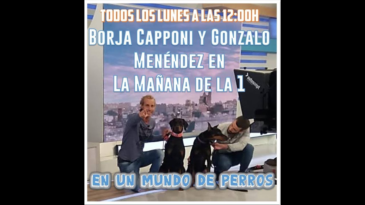 En un Mundo de Perros con Borja Capponi en TVE1,  El Doberman