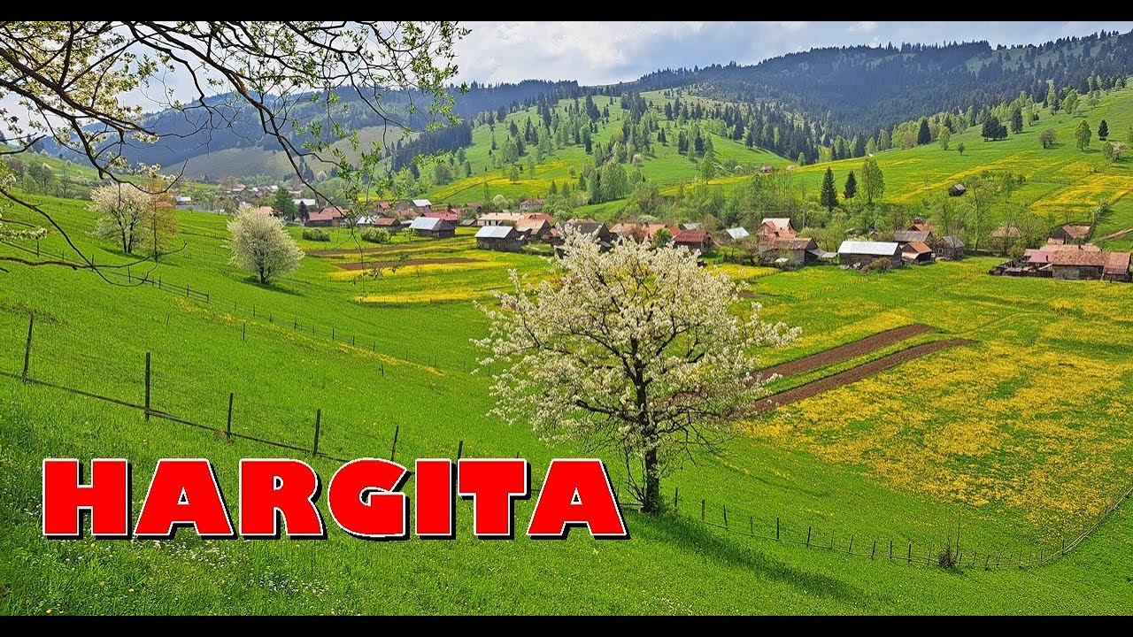 Támadnak a medvék a juhász kutyák is a hegyek mindentől elrejtett részein még a pásztor se véd meg!