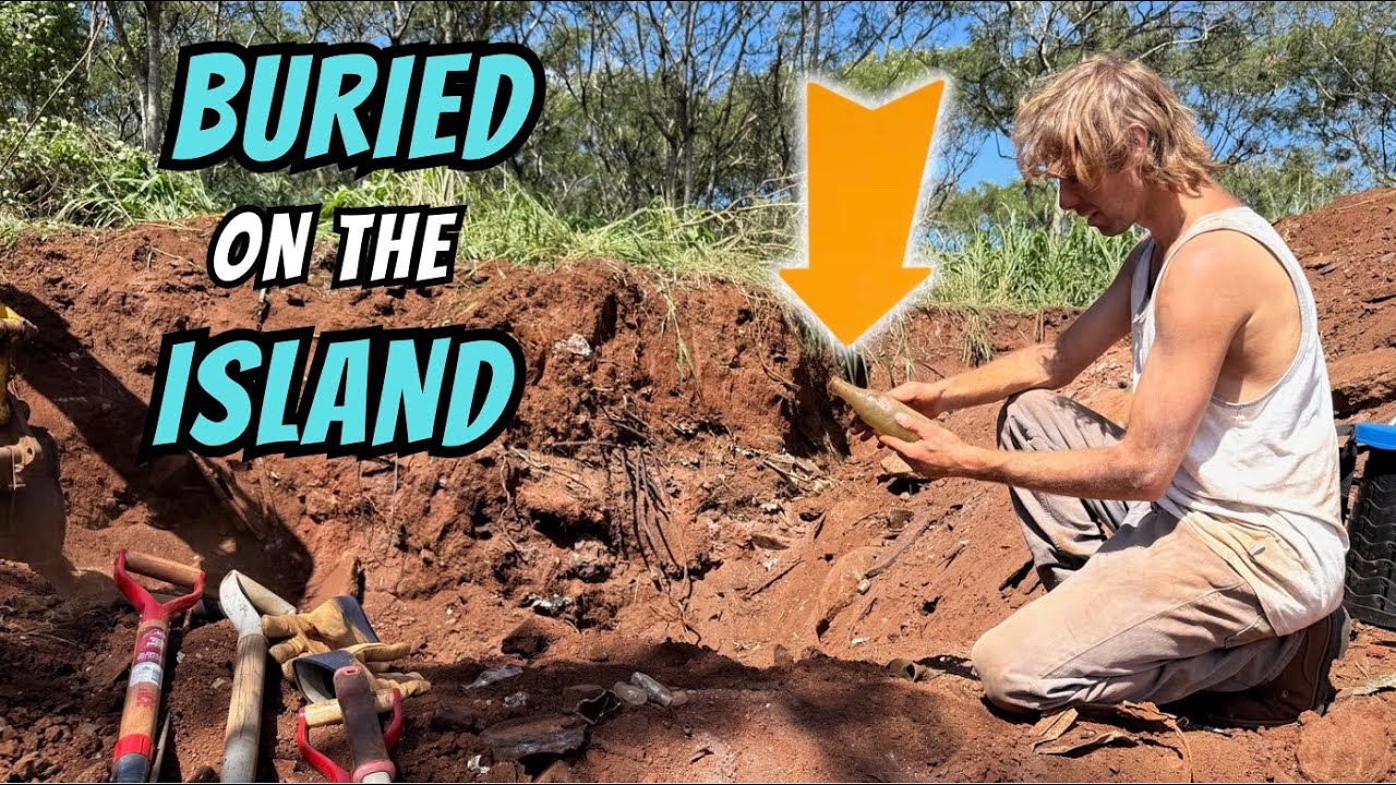 A Strange Mound in the Woods Opens Into a Cache of Artifacts