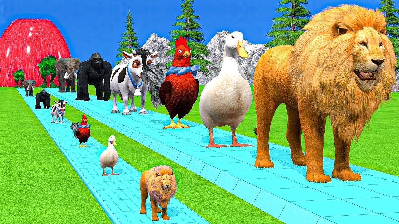 Long Slide Game With Elephant Gorilla Buffalo Hippopotamus Tiger 3d Animal Game Funny 3d Animals