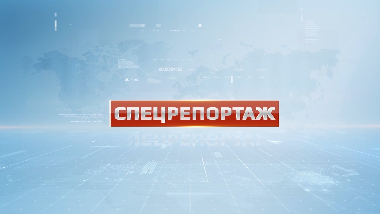 Спецрепортаж. Вырубка леса