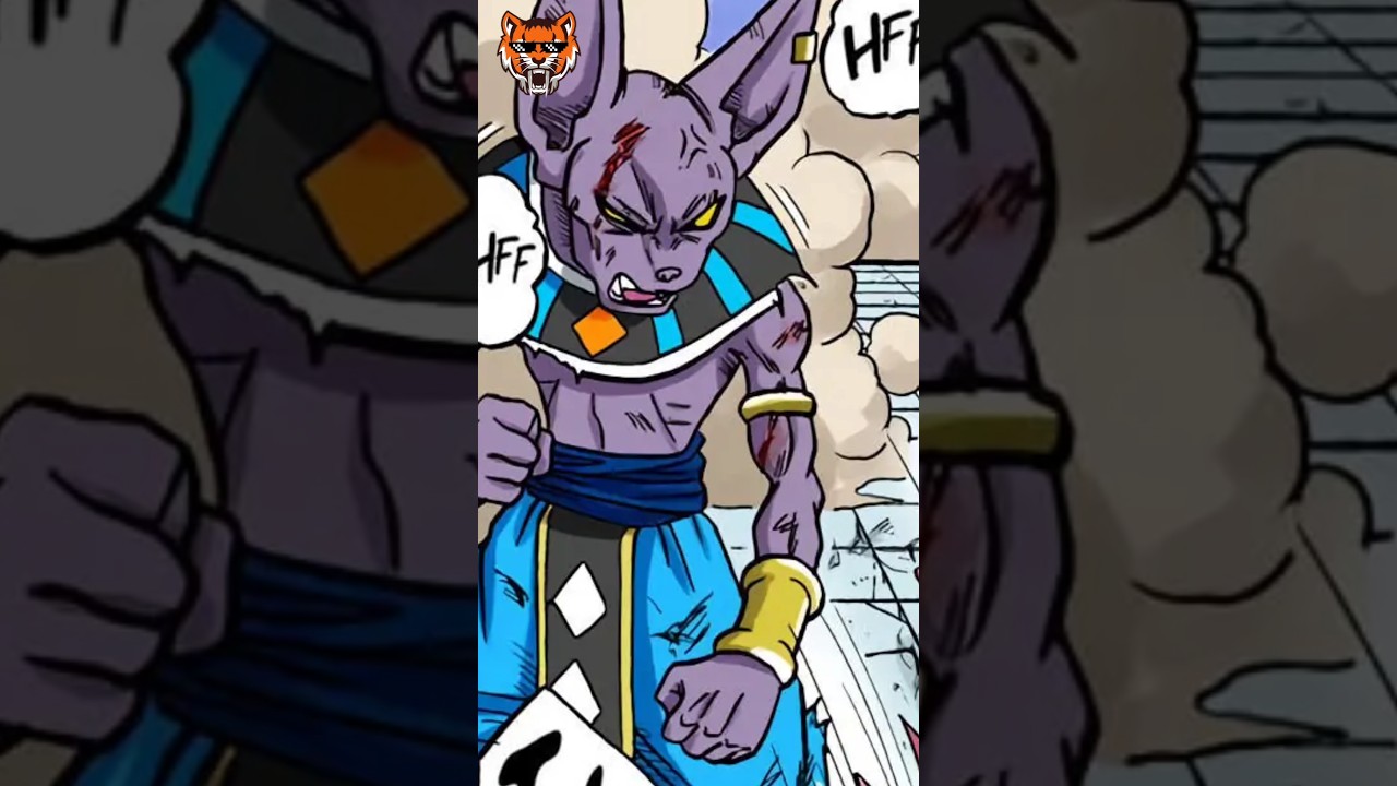 TODAS AS VEZES QUE BILLS FOI FERIDO | Dragon Ball 