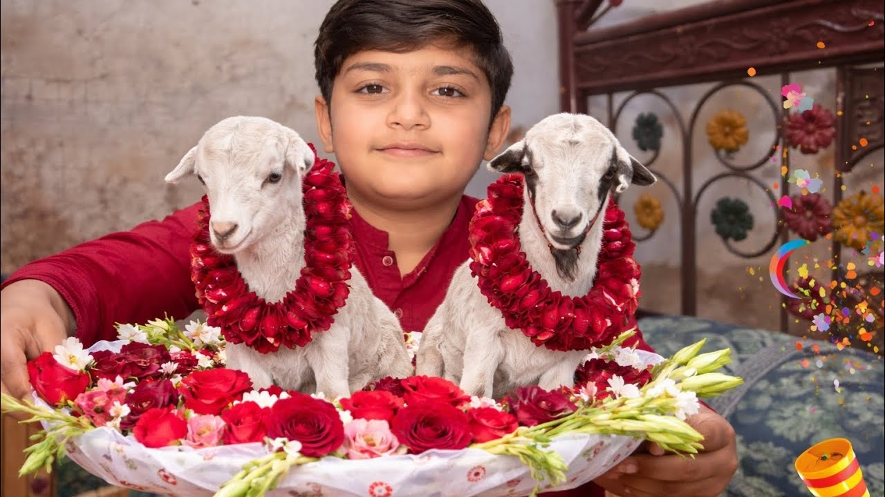 Vologe dhako Maza Aya ga 