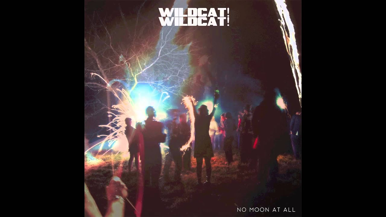 Wildcat! Wildcat! - Nothing Below